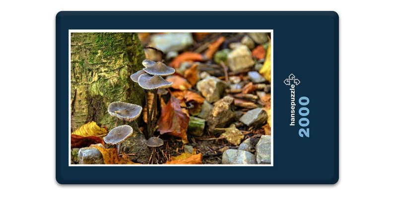18018 Natur - Stein-Pilze Puzzle