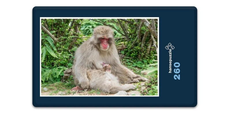 17975 Tierwelt - Affen-Baby Puzzle