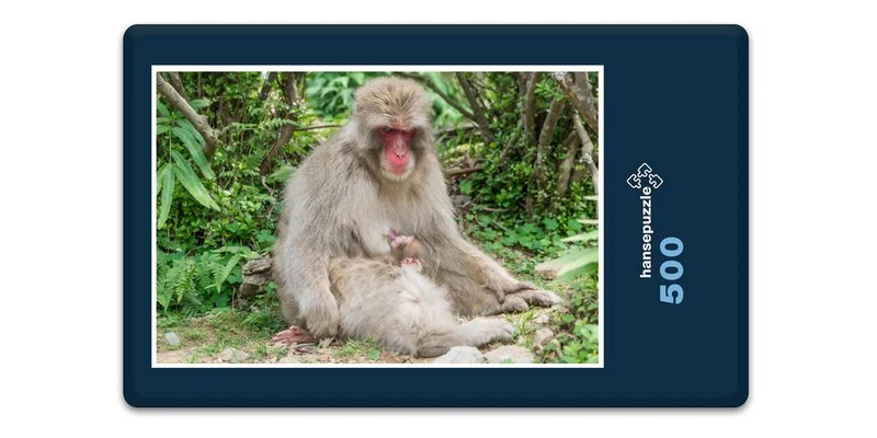 17975 Tierwelt - Affen-Baby Puzzle