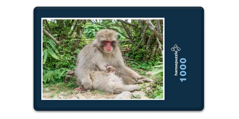 17975 Tierwelt - Affen-Baby Puzzle