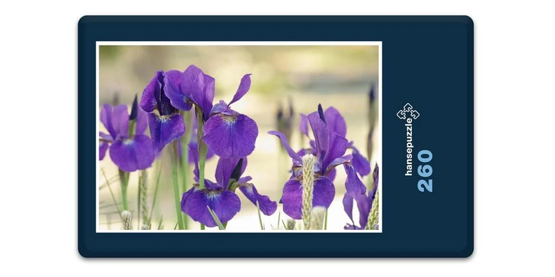 17976 Natur - Schwert-Lilie Puzzle