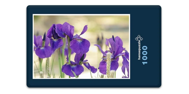 17976 Natur - Schwert-Lilie Puzzle