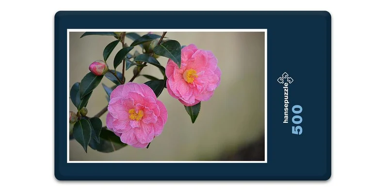 17977 Natur - Rosa Blüte Puzzle