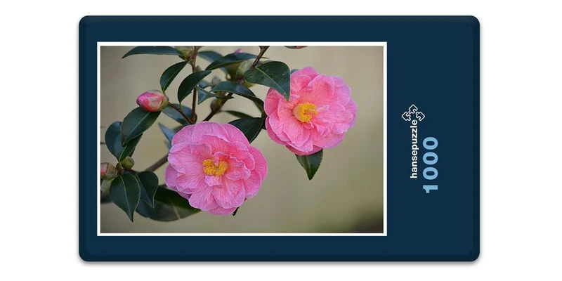 17977 Natur - Rosa Blüte Puzzle