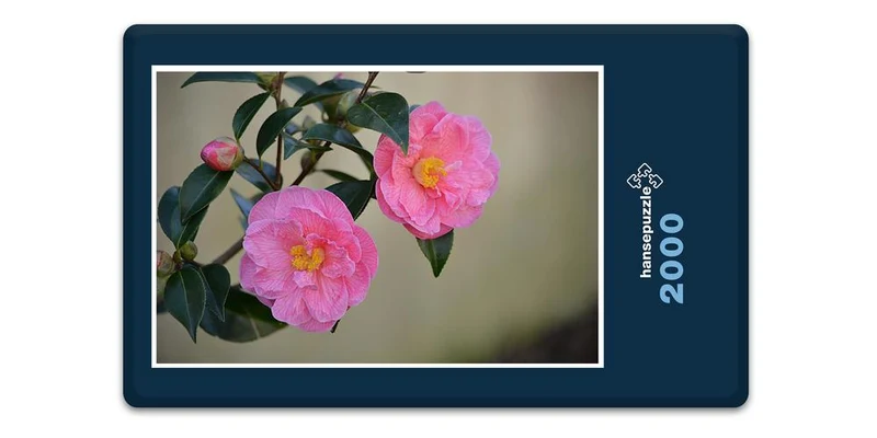 17977 Natur - Rosa Blüte Puzzle