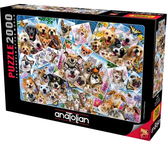 Selfie Pet Collage, Howard Robinson (2000pcs)