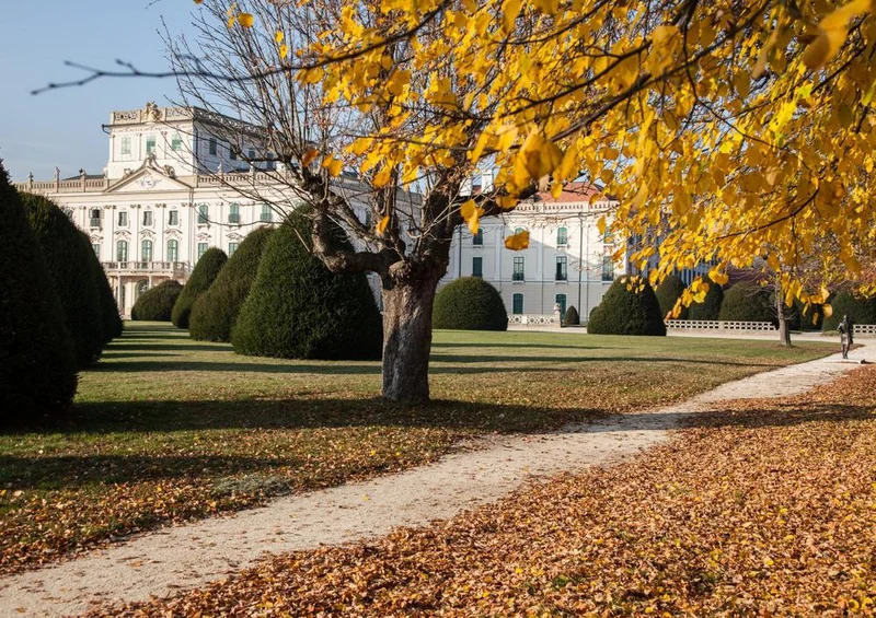 23655 Natur - Schloss im Herbst Puzzle