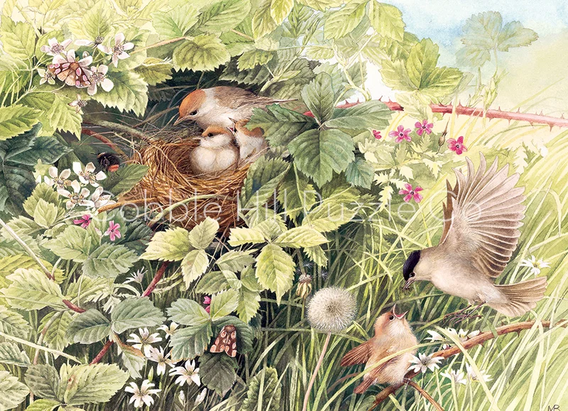 Hidden Nest (1000pcs)