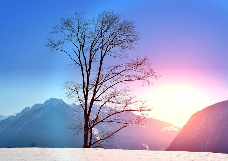 18032 Natur - Sonne im Schnee Puzzle