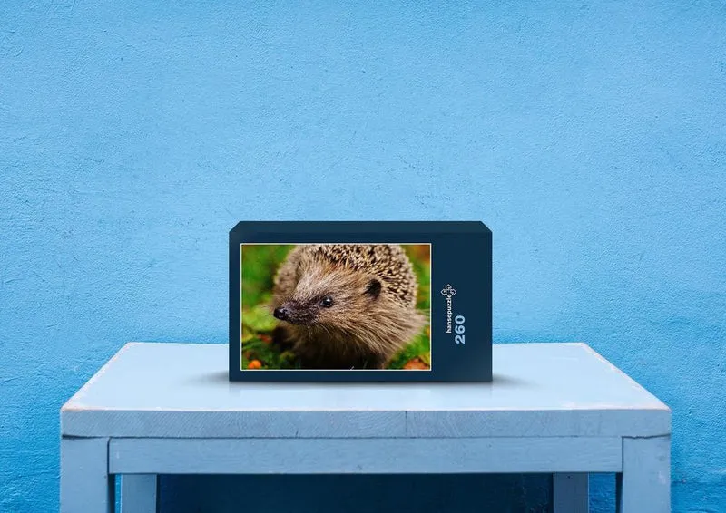 20343 Tierwelt - Igel Puzzle