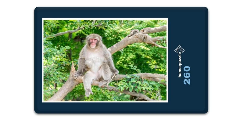 17982 Tierwelt - Affe im Baum Puzzle