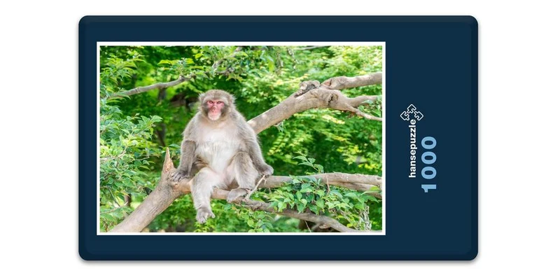 17982 Tierwelt - Affe im Baum Puzzle