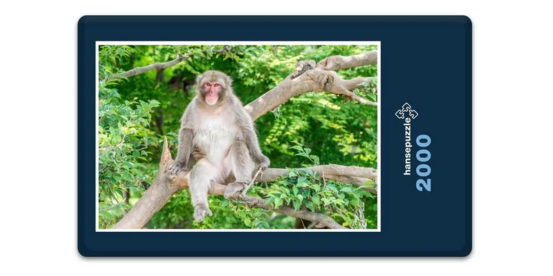 17982 Tierwelt - Affe im Baum Puzzle