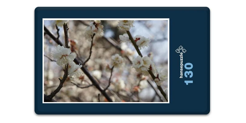 17984 Natur - Blüte am Baum Puzzle