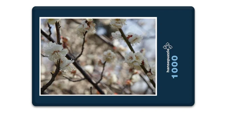 17984 Natur - Blüte am Baum Puzzle