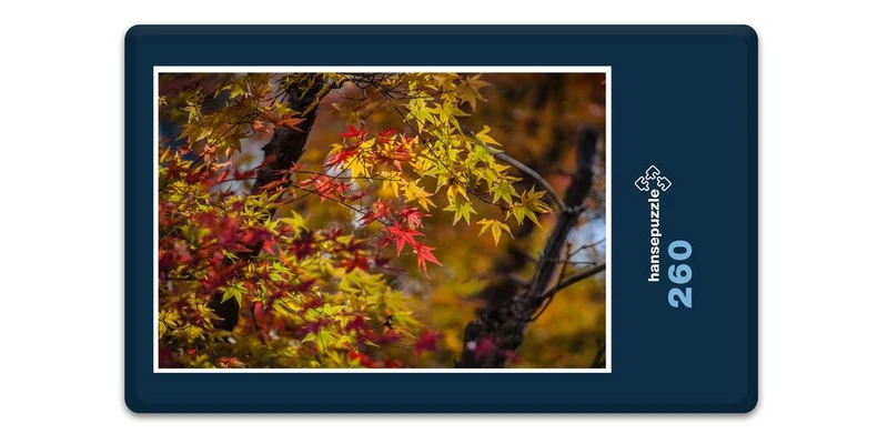 17985 Natur - Ahorn in Japan Puzzle