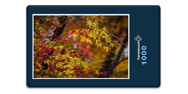 17985 Natur - Ahorn in Japan Puzzle