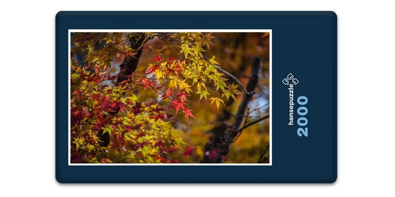 17985 Natur - Ahorn in Japan Puzzle