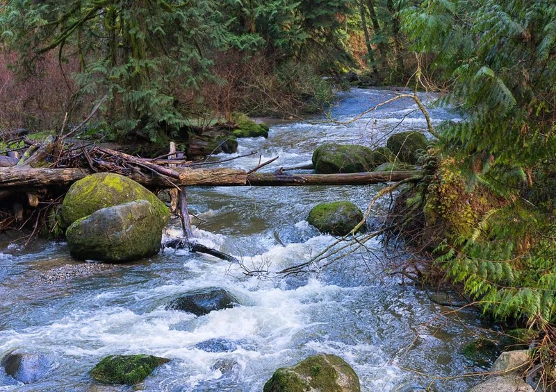 23510 Natur - Wildwasser Puzzle