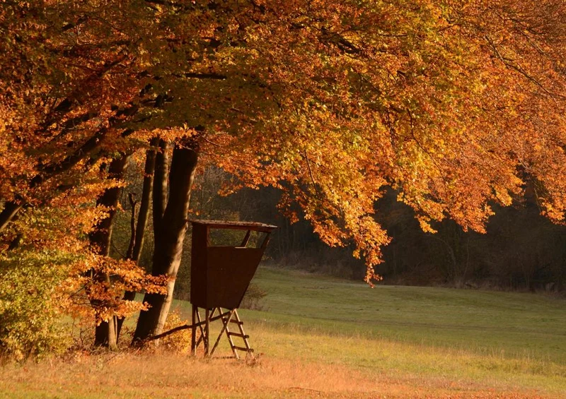 22794 Natur - Hochsitz am Waldrand Puzzle