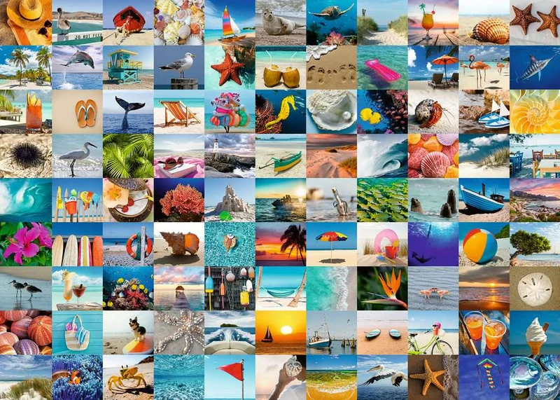 Ravensburger 99 Seaside Moments (1000pcs)