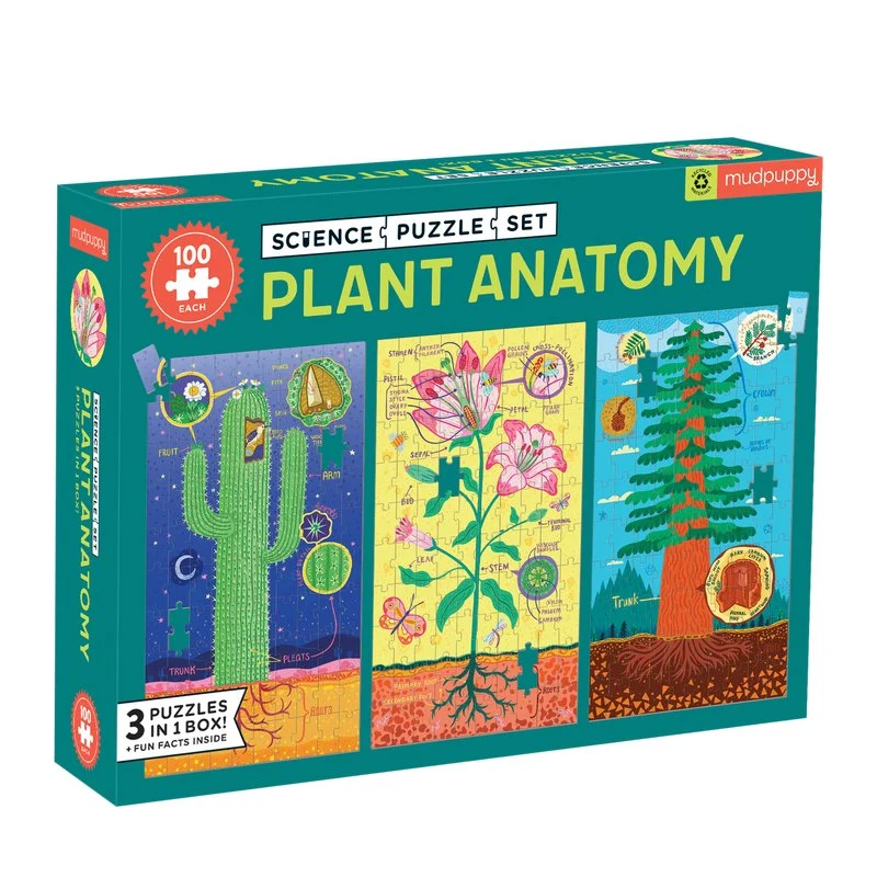 Plant Anatomy Science (3 x 100pcs)