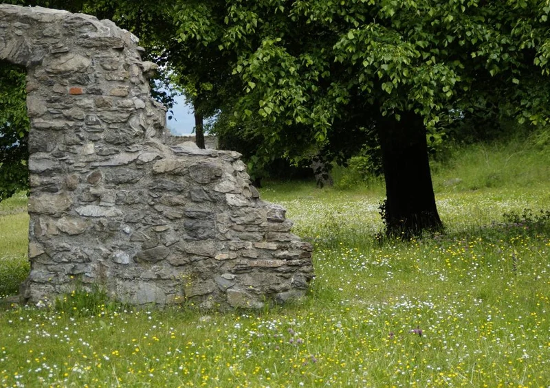 24187 Natur - Felsmauer im Gras Puzzle
