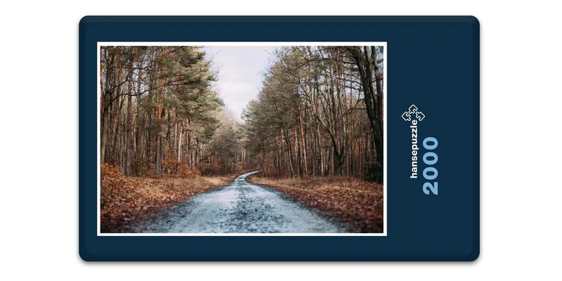 18632 Natur - Herbst-Laub Puzzle