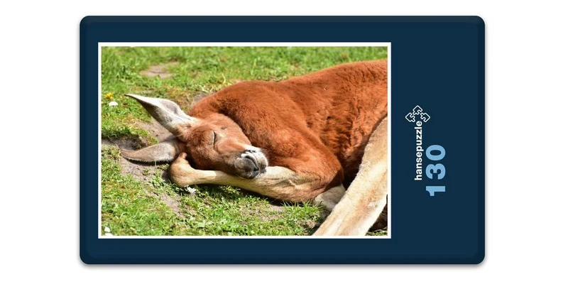 18629 Tierwelt - Känguru Puzzle