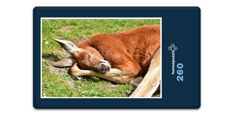 18629 Tierwelt - Känguru Puzzle
