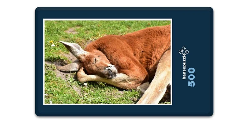 18629 Tierwelt - Känguru Puzzle