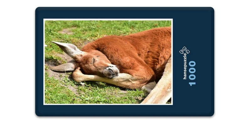 18629 Tierwelt - Känguru Puzzle