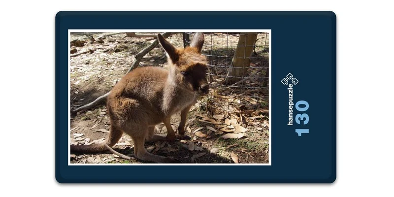 18628 Tierwelt - Baby Känguru Puzzle