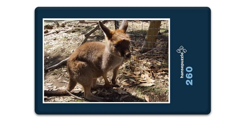 18628 Tierwelt - Baby Känguru Puzzle