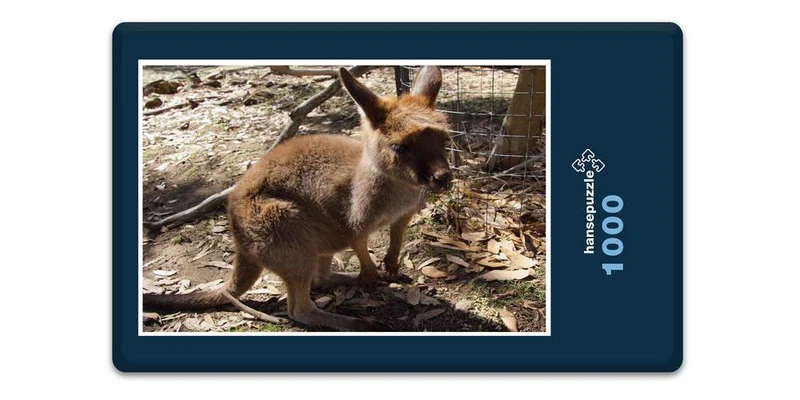 18628 Tierwelt - Baby Känguru Puzzle