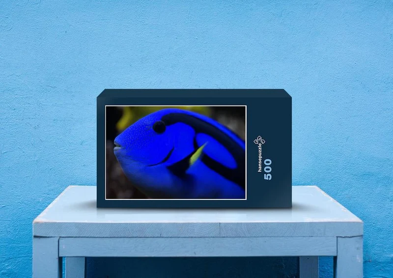 22744 Tierwelt - Doktorfisch Puzzle