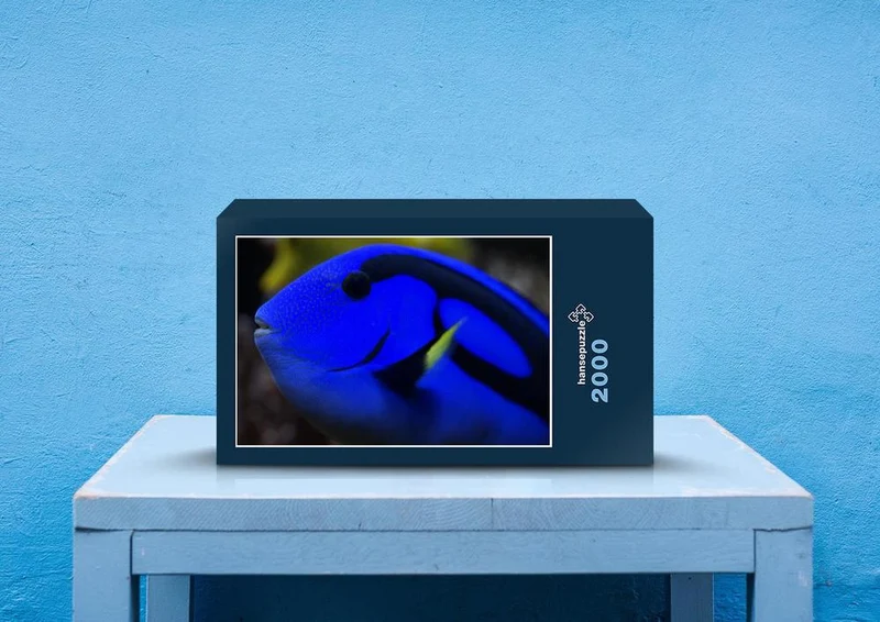 22744 Tierwelt - Doktorfisch Puzzle