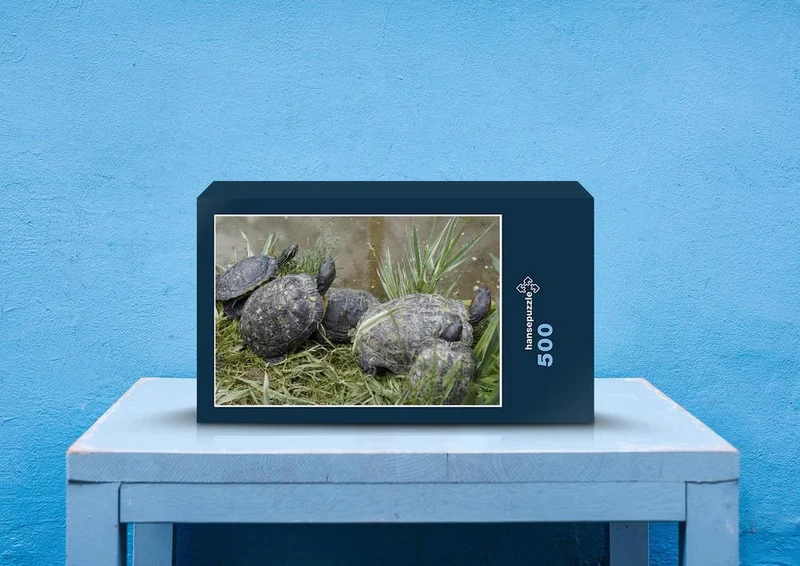 20238 Tierwelt - Schildkröte Puzzle