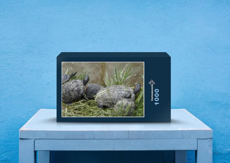 20238 Tierwelt - Schildkröte Puzzle