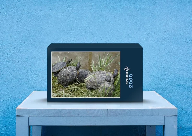 20238 Tierwelt - Schildkröte Puzzle