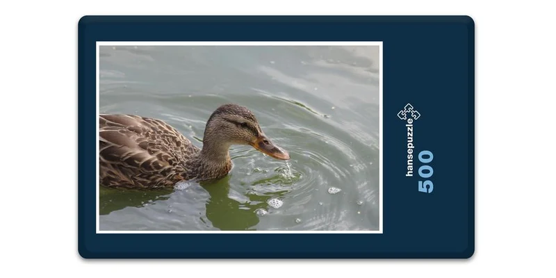 18771 Tierwelt - Schwanenteich Puzzle