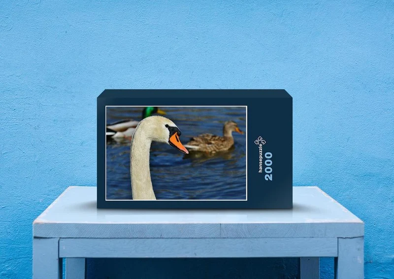 23028 Tierwelt - Enten im Blick Puzzle