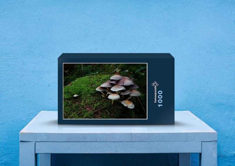 21966 Natur - Pilz-Köpfe Puzzle