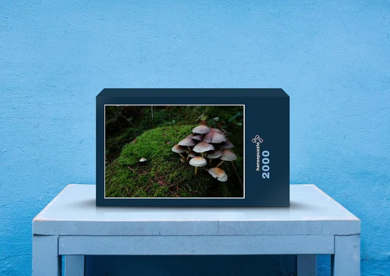 21966 Natur - Pilz-Köpfe Puzzle
