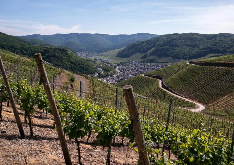 21861 Natur - Wein-Berg Puzzle