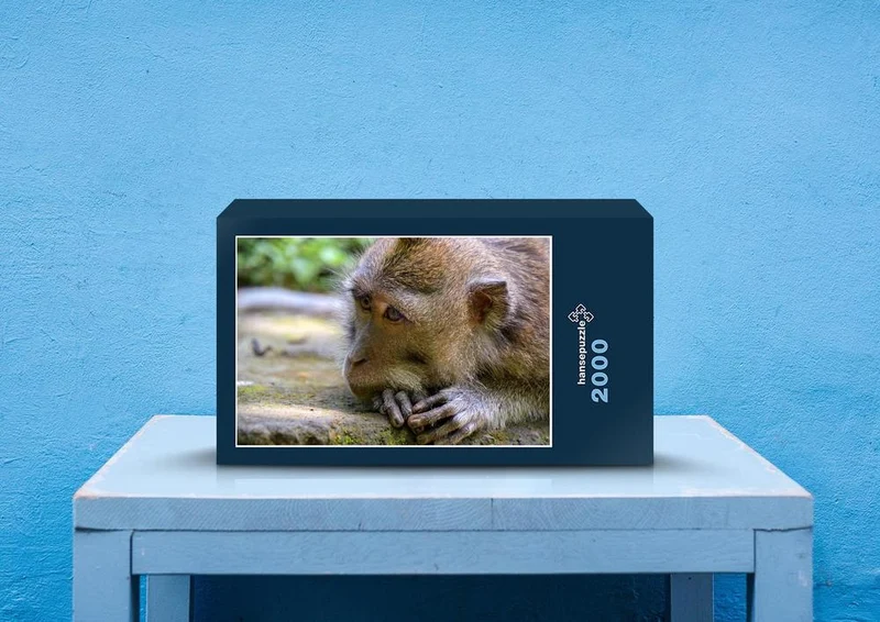 22065 Tierwelt - Affe Puzzle