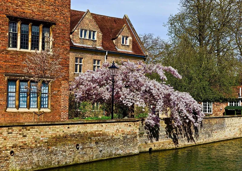 19211 Natur - Cambridge Puzzle