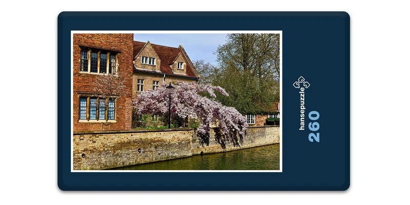 19211 Natur - Cambridge Puzzle