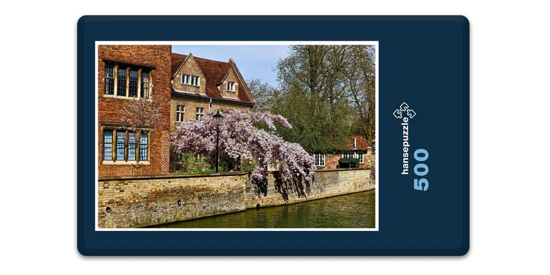 19211 Natur - Cambridge Puzzle