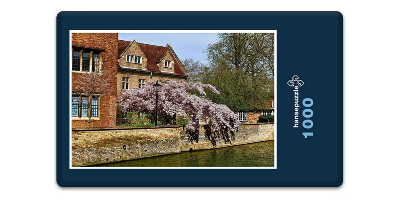 19211 Natur - Cambridge Puzzle